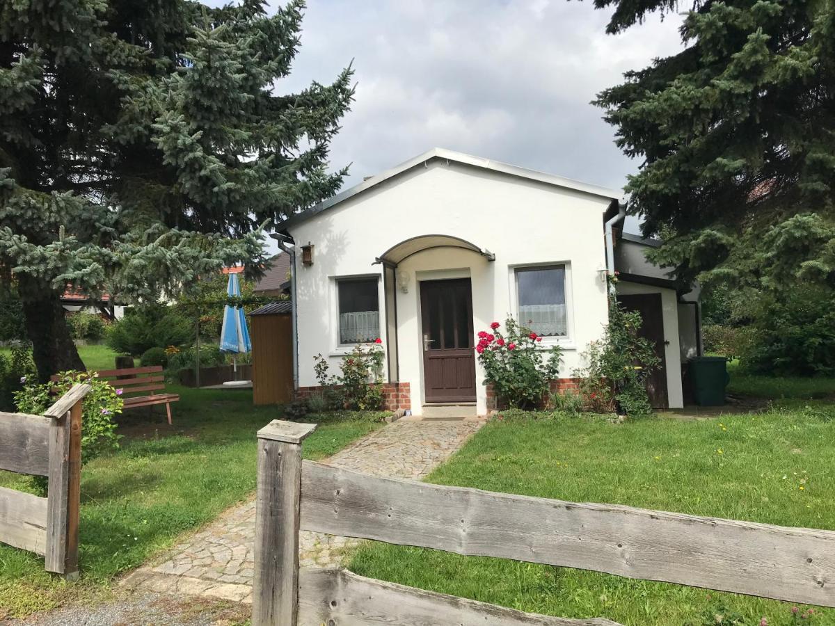 Ferienhaus Am Kaltenstein Olbersdorf Zewnętrze zdjęcie